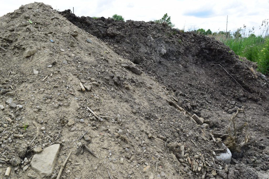 Fill Dirt