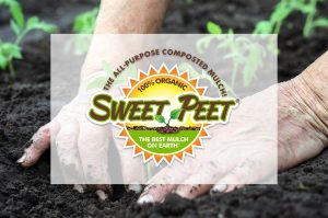 Sweet Peet Premium Organic Mulch